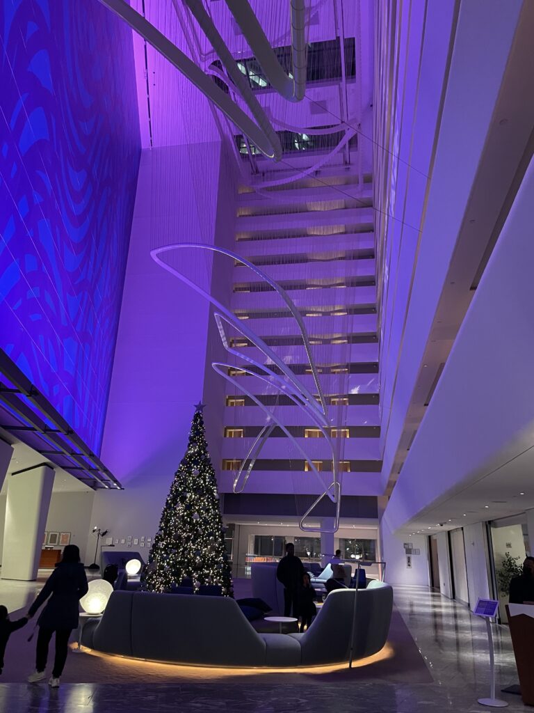 纽约Downtown Conrad圣诞一日游